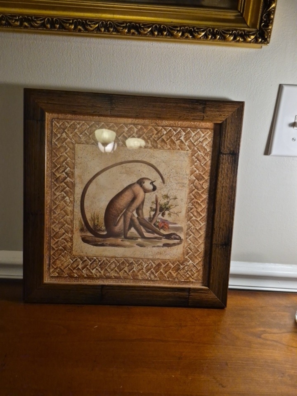 Brown and Cream Golden Monkey Illustration Art Print 14.74x14.75in